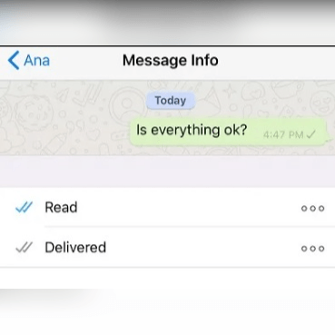 WhatsApp checkmark meaning